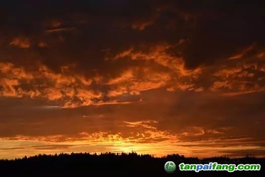 新加坡計(jì)劃2019年起針對(duì)溫室氣體排放量征收碳稅