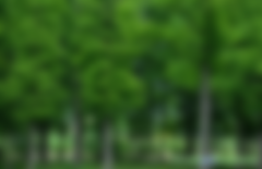 如何開發(fā)林業(yè)碳匯項目需要哪些文件資料？