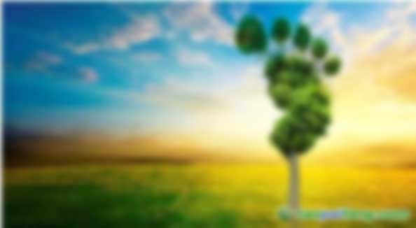 什么是碳資產(chǎn)托管、作用和意義以及案例分析