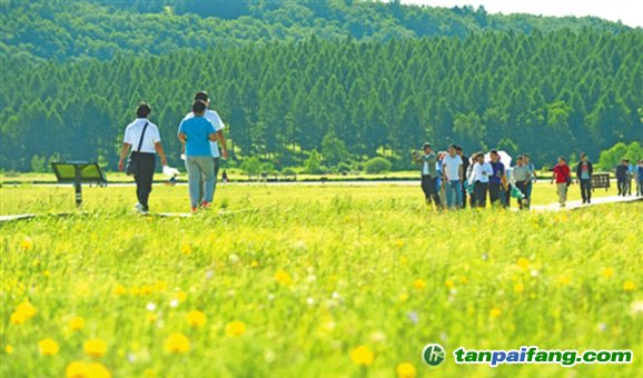 塞罕壩機(jī)械林場碳排放權(quán)交易總額可達(dá)3000多萬元