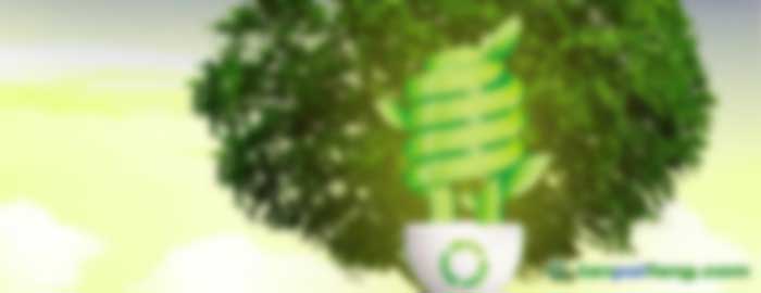 重慶2017年度新能源汽車財(cái)政補(bǔ)助標(biāo)準(zhǔn)：購(gòu)買純電動(dòng)車最高補(bǔ)貼2萬(wàn)元/輛 插電式混合動(dòng)力車最高補(bǔ)貼1萬(wàn)元/輛