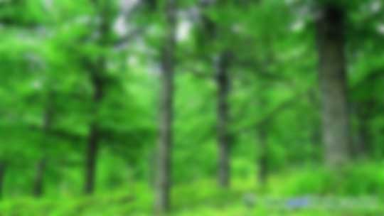 國家林業(yè)局《省級林業(yè)應(yīng)對氣候變化2017—2018年工作計劃》