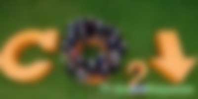 福建碳市場履約率達100%！