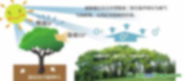 林業(yè)碳匯 種樹人變身“賣碳翁”