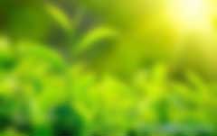 碳匯是什么意思？