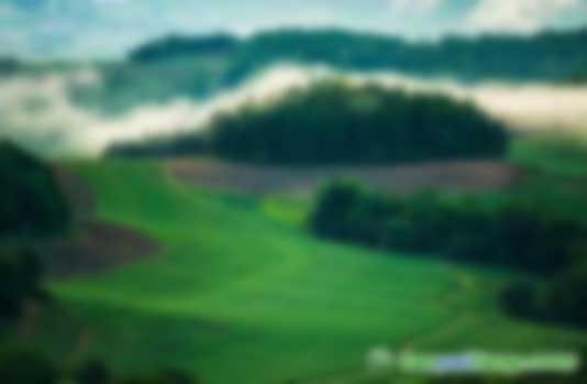 碳匯交易補(bǔ)貼多少錢(qián)一噸以及樹(shù)林怎么計(jì)算碳匯量，哪個(gè)交易所價(jià)格最高