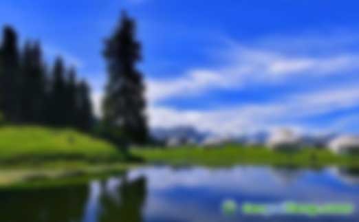 《黑龍江省林業(yè)碳匯經(jīng)濟(jì)發(fā)展規(guī)劃（2019-2030）》:至2030年將完成406萬公頃碳匯項(xiàng)目建設(shè)，年均減排量971.4萬噸，年均產(chǎn)值可達(dá)8.84億元