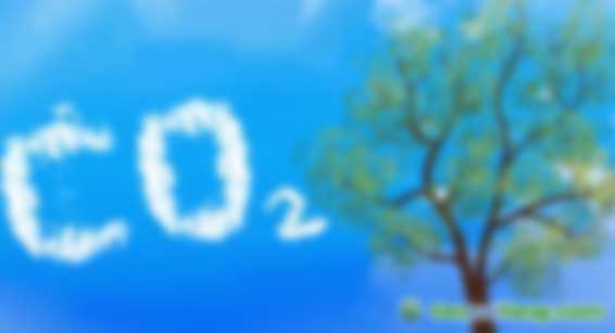 中創(chuàng)碳投教育第95期“碳市場(chǎng)機(jī)制與企業(yè)碳管理”高級(jí)課程開始招生啦！