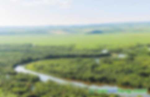 建設(shè)森林城市，擁抱綠色生活國(guó)家森林城市建設(shè)成就綜述