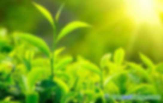 環(huán)境、社會及管治(ESG)培訓課程招生簡章官網最新信息發(fā)布