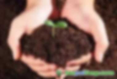 文庫網(wǎng)站資料（PPT、DOC、PDF等各行業(yè)2000萬個(gè)文檔報(bào)告文件）打包出售（硬盤版），如何購買的正規(guī)渠道