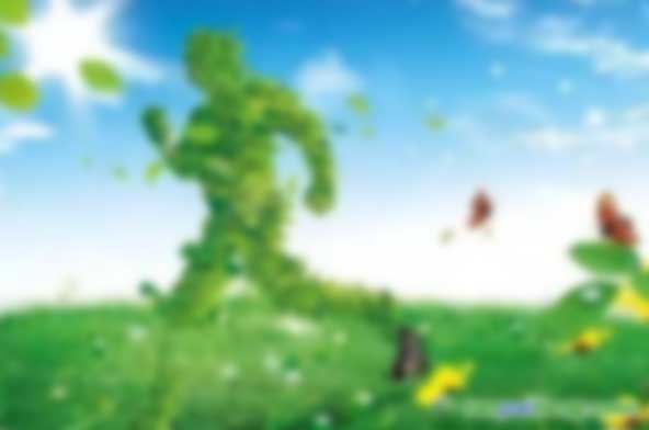 申請綠色工廠最多能給到多少錢的資金補(bǔ)貼？