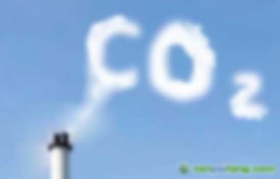 中國控排企業(yè)在碳排放數(shù)據(jù)、信息披露和碳資產(chǎn)管理等方面主要存在哪些挑戰(zhàn)？需要開展哪些有針對性的能力建設(shè)和技術(shù)支持？