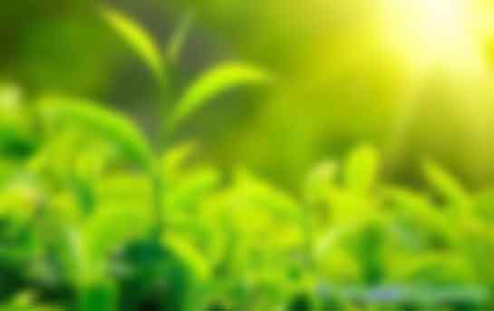 疫情陰影下，CCER憑什么六個(gè)月價(jià)格暴漲三倍？