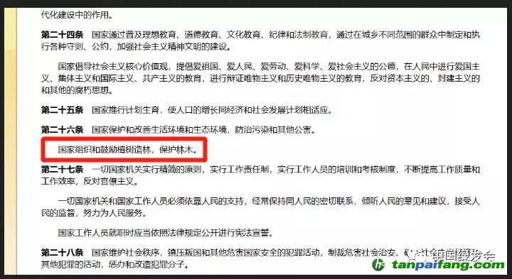 （倡導(dǎo)植樹要講究生物多樣性。來源/網(wǎng)絡(luò)）