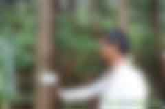 賣空氣也賺錢！貴州單株碳匯實(shí)現(xiàn)生態(tài)和扶貧雙贏