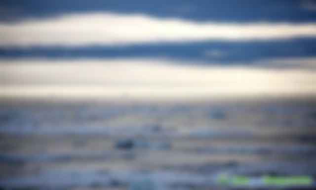 霍金預(yù)言要成真？北極38度高溫，溫室氣體釋放，地球回300萬年前