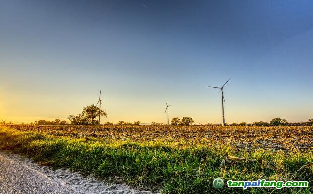 最新全國碳交易價格 2022年碳匯交易多少錢一噸？