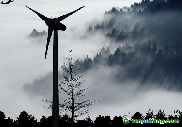 CCER重啟需多部委協(xié)作，若持續(xù)難產(chǎn)或?qū)⑦M(jìn)一步推高2022年國(guó)家碳市場(chǎng)均價(jià)