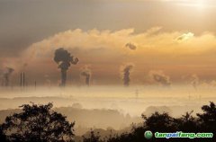 全國碳市場從何而來，又會走向何方？