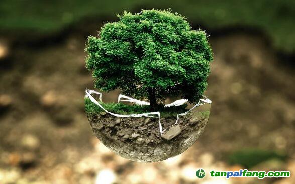 國家人社部官網(wǎng)發(fā)布“碳匯計(jì)量評估師”等新職業(yè)，如何報名參加課程培訓(xùn)獲得證書有哪些好處和作用？