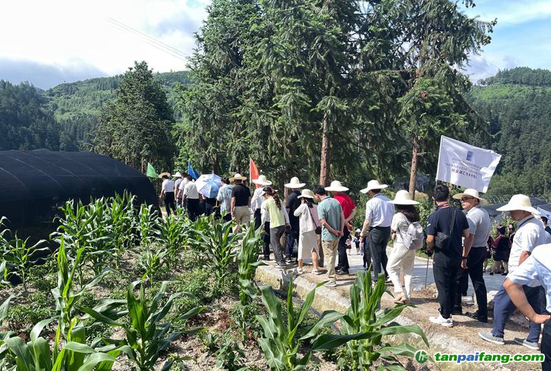 調(diào)研現(xiàn)場。郭鑫燚攝