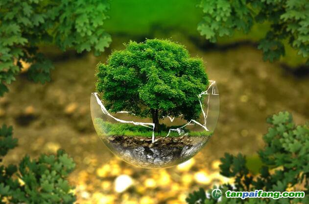 控排企業(yè)碳資產(chǎn)管理代運(yùn)營(yíng)：配額籌劃、合規(guī)化改造等數(shù)據(jù)優(yōu)化、碳交易金融化思維