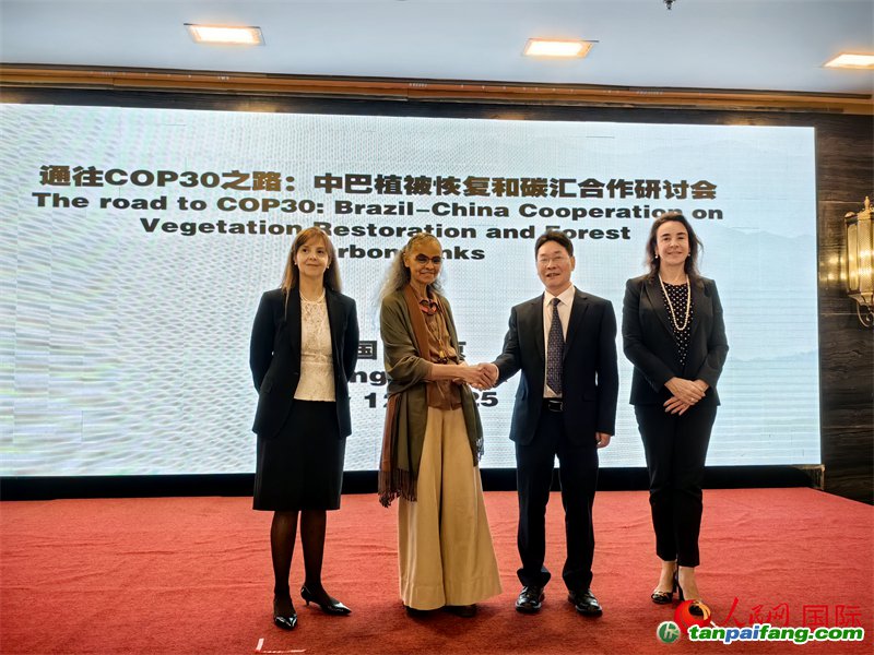 中國國家林業(yè)和草原局副局長李云卿（右二）、巴西環(huán)境和氣候變化部部長瑪麗娜·席爾瓦（左二）、巴西財政部副部長羅熙丹（右一）、巴西駐華大使館公參樂美（左一）出席“通往COP30之路：中巴植樹造林和碳匯合作研討活動”。人民網(wǎng)記者 符園園攝