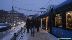 全球首個(gè)商業(yè)“碳?jí)瀳?chǎng)”什么樣？