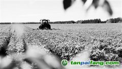 做好農(nóng)業(yè)氣候區(qū)劃，應(yīng)對全球變暖“烤”驗